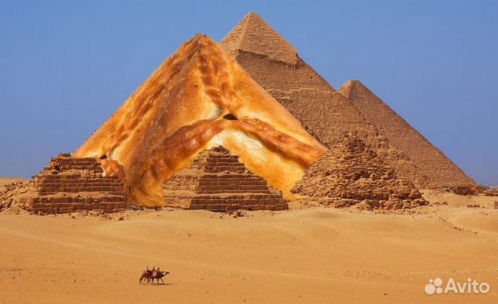 Из Уфы в Египет 18 ноября