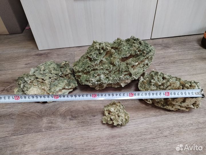 Крымский песчанник