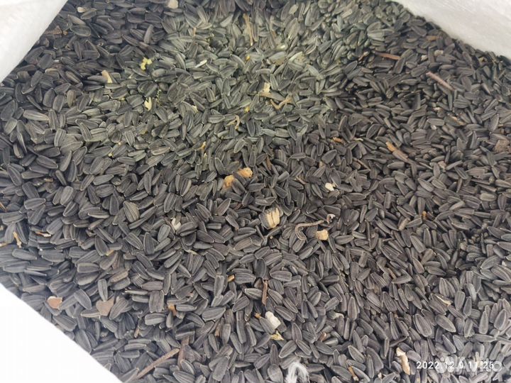 Семечка, мешок 25 кг