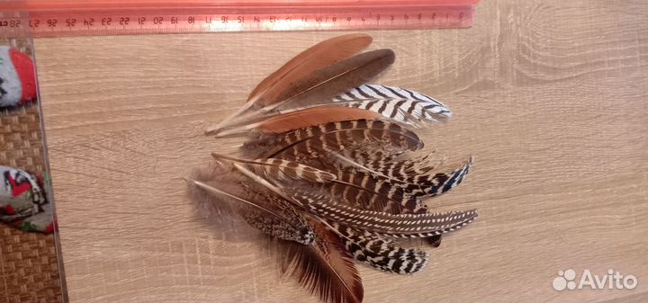 Декоративные перья