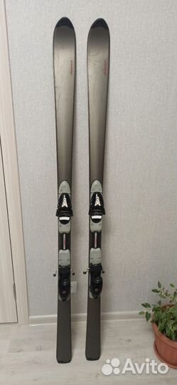 Горные лыжи