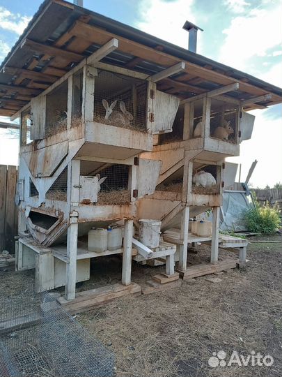 Крольчатник