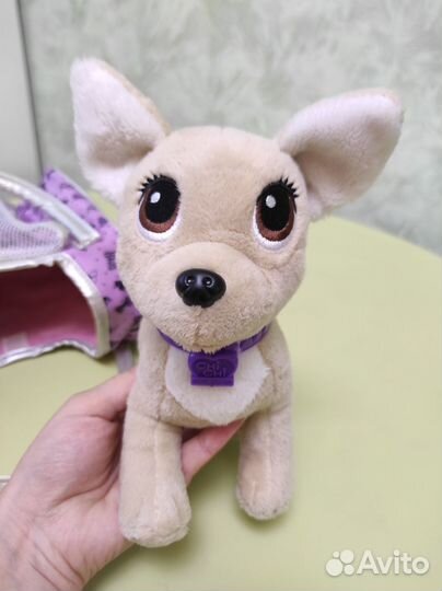 Chi Chi love собачка в сумке