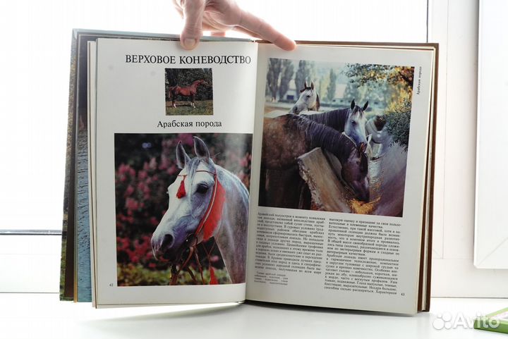 Коневодство и конезаводство в России книга