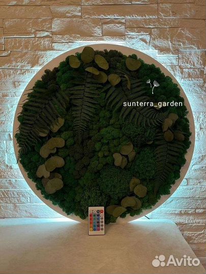 Круги со мхом с подсветкой. Логотипы из мха