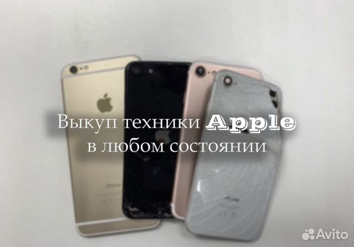 Камера iPhone 8