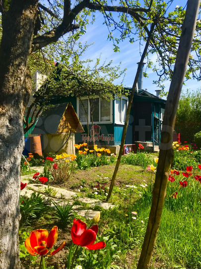 Дом 37,6 м² на участке 2,7 сот.