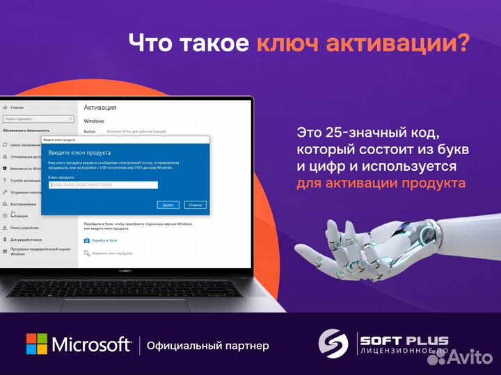 Windows 10 Pro BOX + Office 2019 Pro Plus
