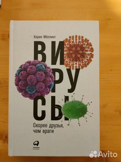 Вирусы. Скорее друзья, чем враги