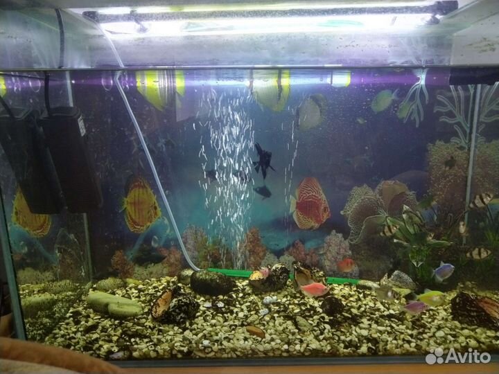 Аквариум с рыбками бу