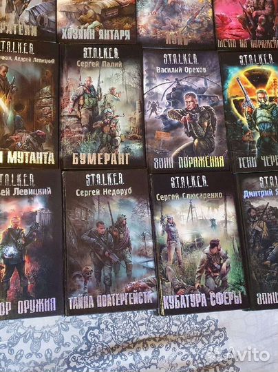 Серия Книг stalker