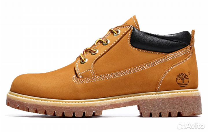 Oxford Waterproof Classic Timberland (43)