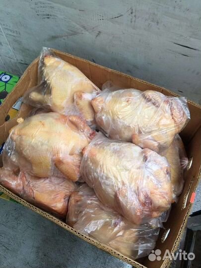 Куры халяль