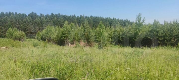 Участок 10 сот. (ИЖС)