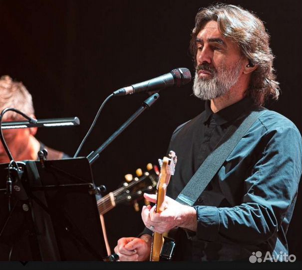 Билеты на рое концерт в Лужниках