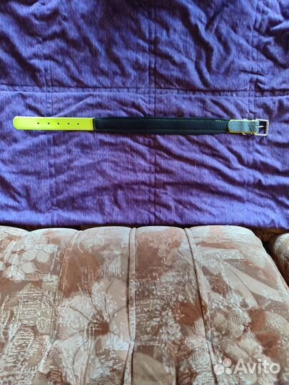 Ошейник для собак