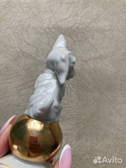 Фарфоровая статуэтка Цирковая собачка на шаре