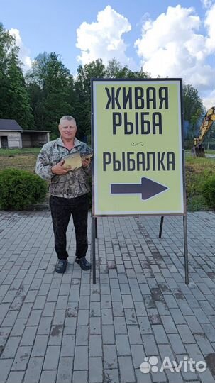 Рыба рыбалка