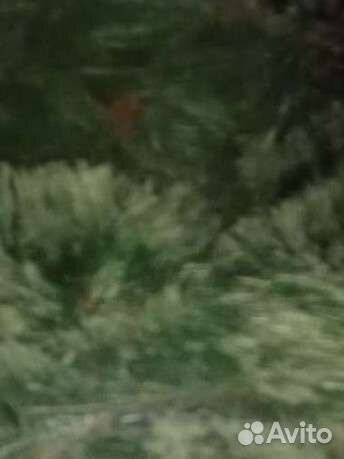 Ветки искусственные ель/сосна