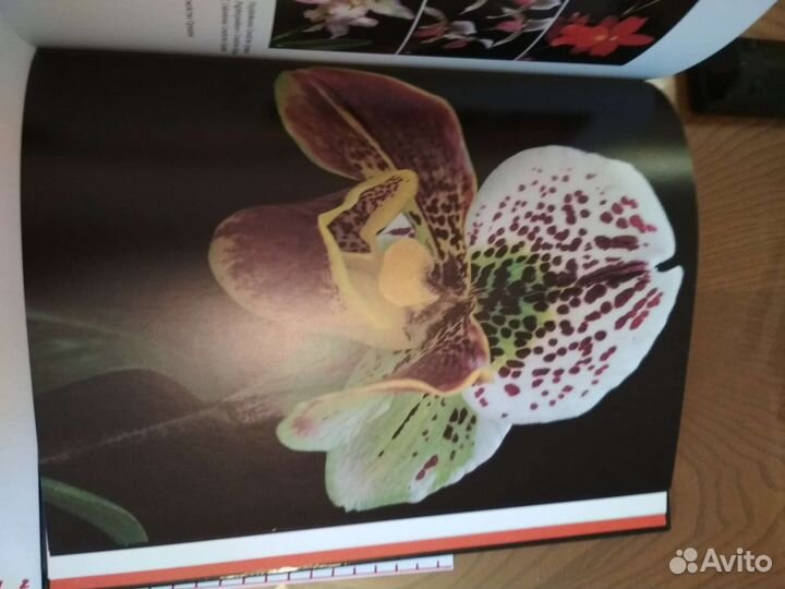 Книга альбом о цветах