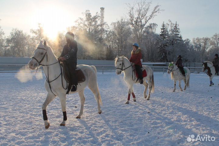 Верховая езда, фотосессии, пони-клуб