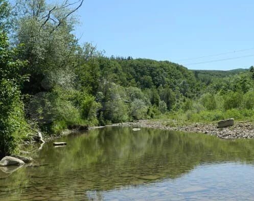 Участок 1,3 га (СНТ, ДНП)