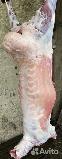 Баранина Халяль с доставкой