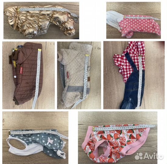 Одежда для маленькой собаки