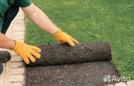 Укладка газона