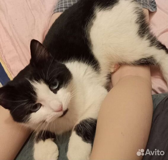 Русская