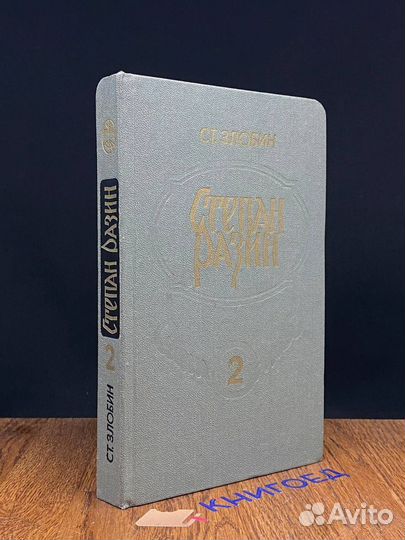 Степан Разин. Книга 2