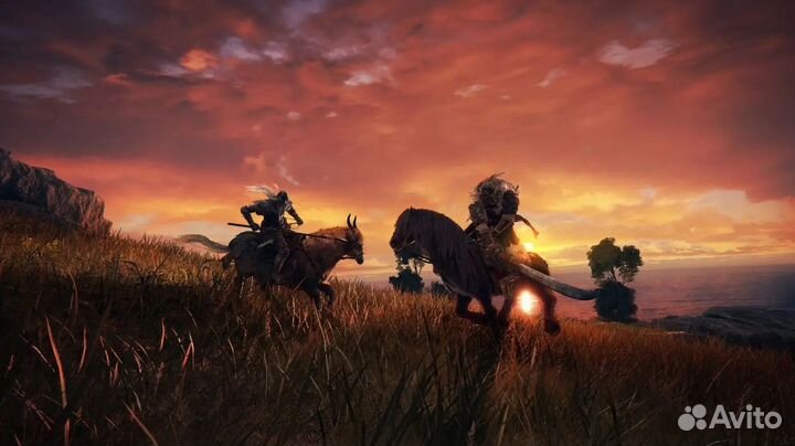 Elden Ring PS4 & PS5