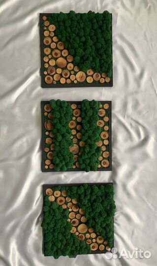 Картина, панно из мха и дерева