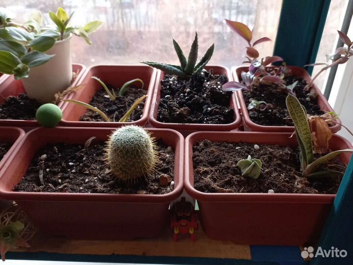 Горшки для цветов с подставкой