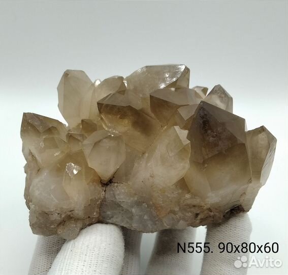 N555. Цитрин(друза)