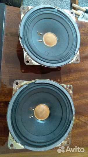 Динамики разные