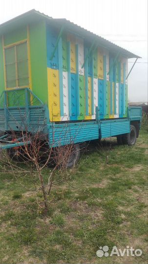 Продам пасеку