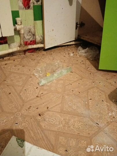 Уничтожение насекомых:тараканов,клопов,блох и т.д