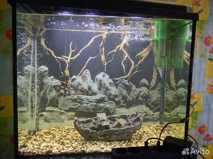 Аквариум