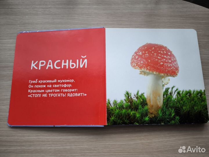 Книга Учу цвета clever