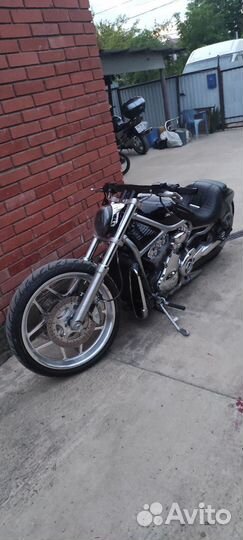 Harley Davidson v rod