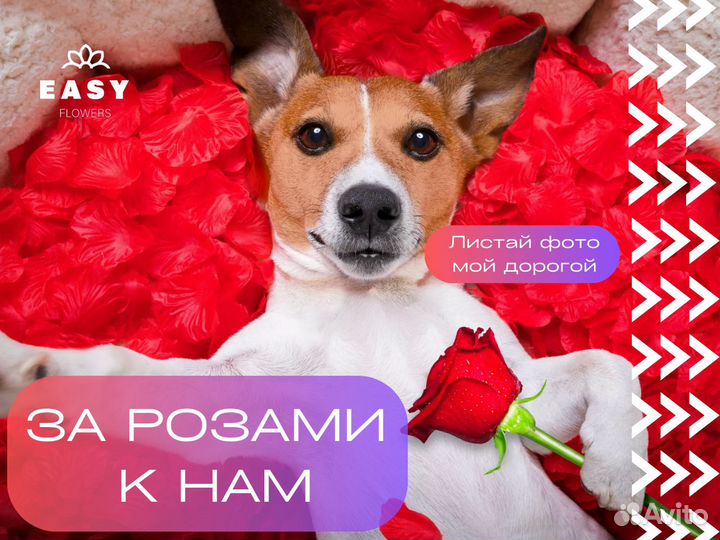 101 Роза Букеты Цветы Доставка Розы