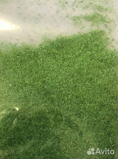 Присыпки для макета