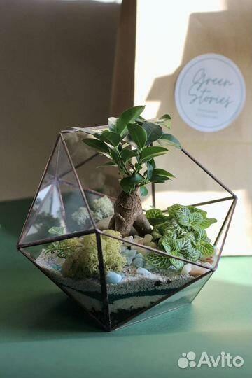 Флорариум Икосаэдр с бонсай