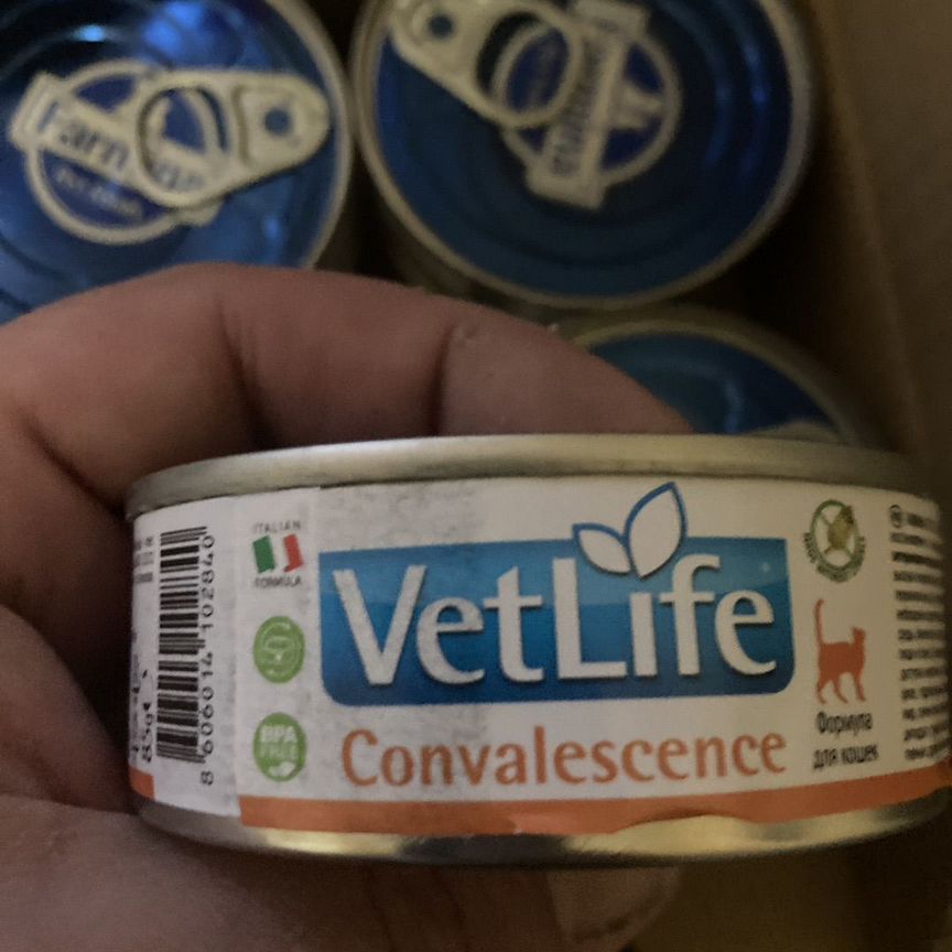 Farmina Vet Life CAT Convalescence Консервы