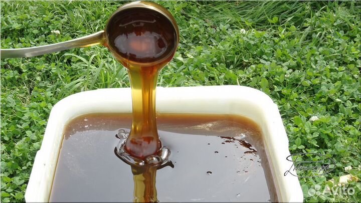 Мёд донник липовый акация Опт от 100 кг