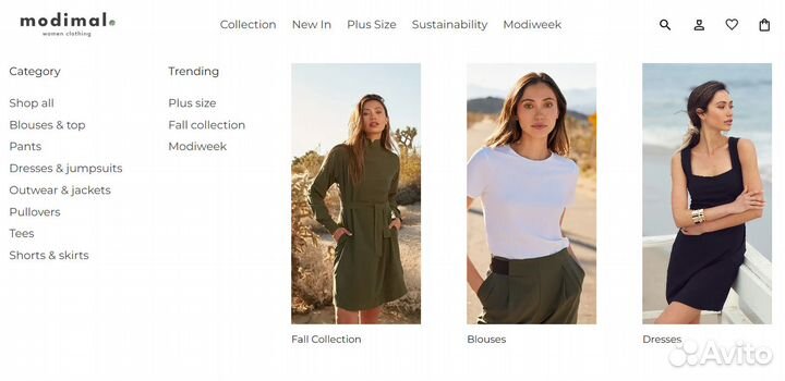 Frontend разработка, верстка сайта