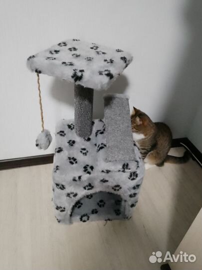 Домик для кошки с когтеточкой