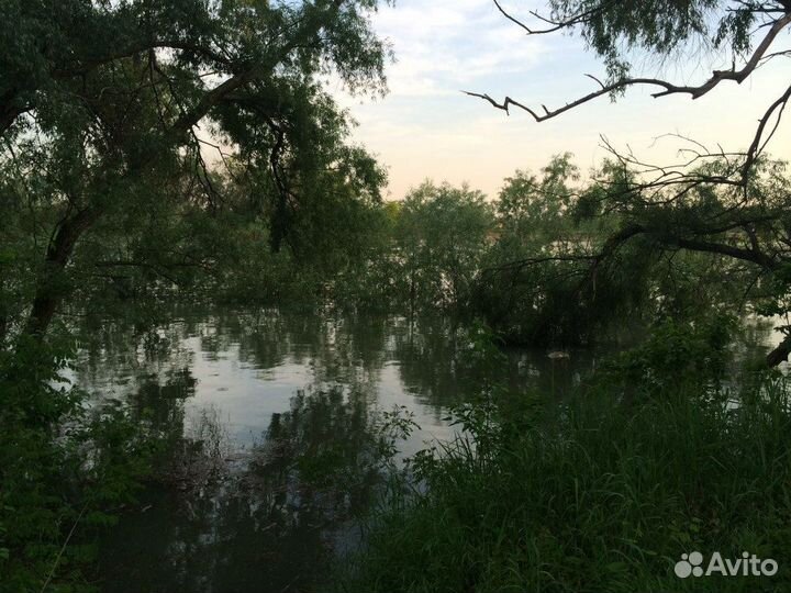 Велопоездки по берегу реки Кубань