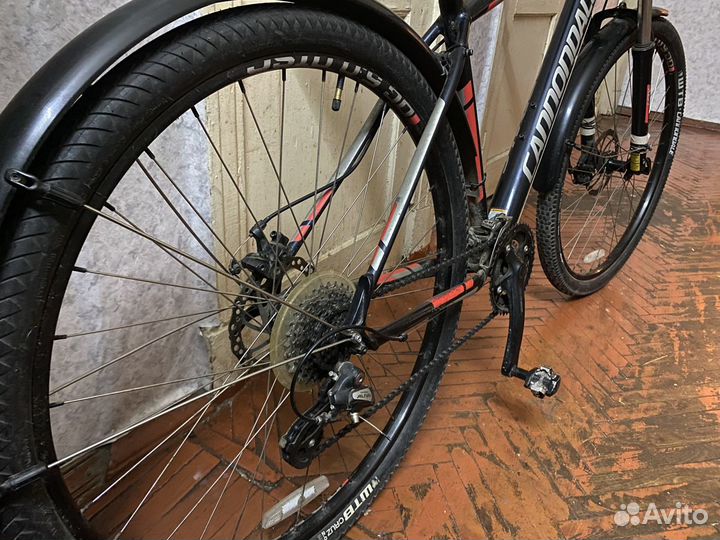 Горный велосипед Cannondale Trail 7 29 L